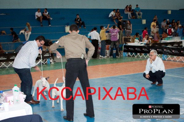 Clique sobre a foto para fechar